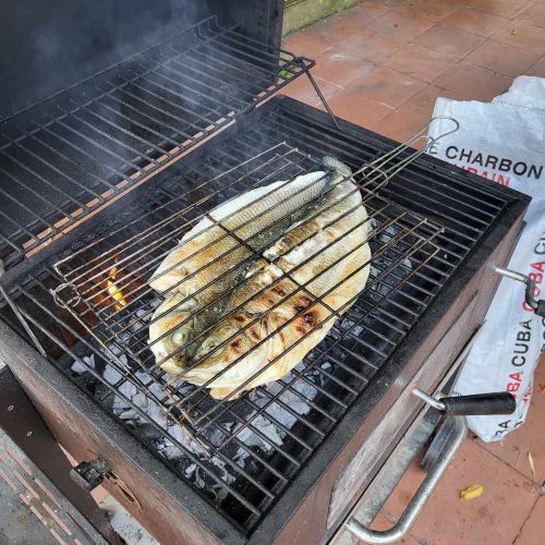 223ed9b5-c98f-4d9b-8fc7-4be6704b9303