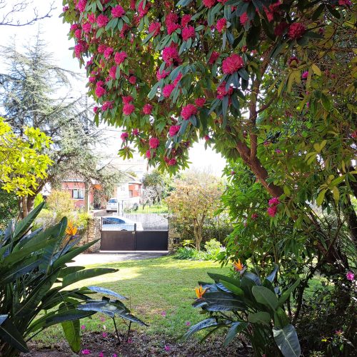 333984866_927141528324842_8299143978100312807_n