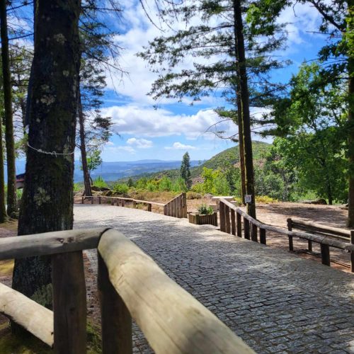 6d3f355b-97b2-441e-bc9a-70b29a1e0555