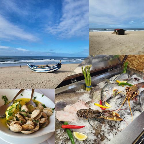 07a9d1b5-4cf7-47ed-971b-5954913cbb03