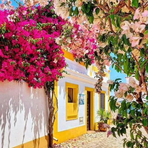 331711447_1185930842312621_1938071370773211078_n