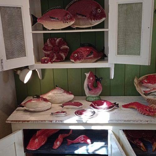 IMG_20210816_103734 vista alegre