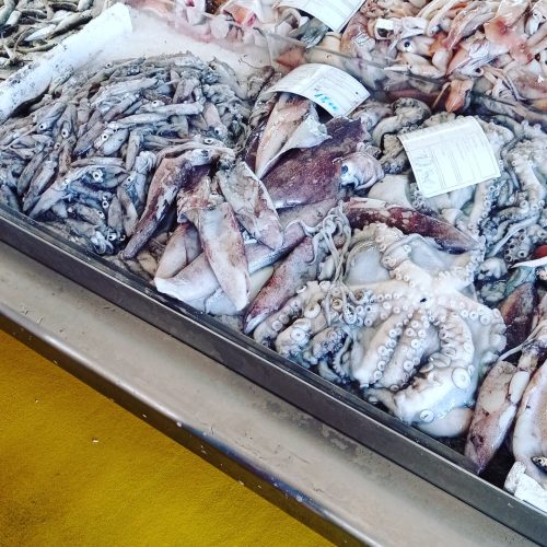 IMG_20210821_211202_356